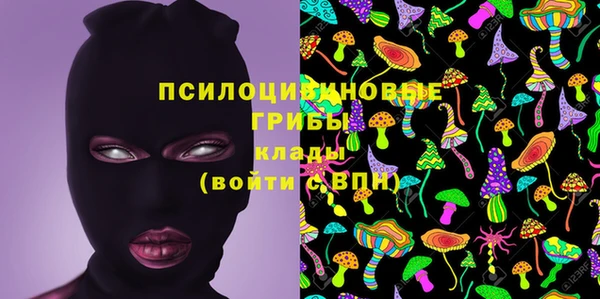 apvp Алексеевка