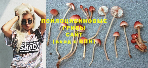 mdpv Алзамай